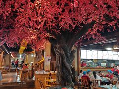 -张关合渣(航空大道店)