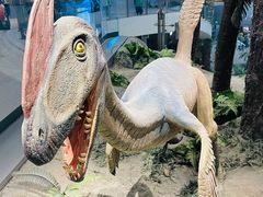 -辽宁古生物博物馆