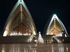 -悉尼歌剧院