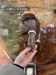 -Zoolung Zoolung动物主题公园(海信广场店)