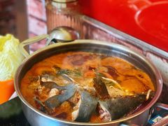 鲶鱼酸汤鱼锅-弘烨 贵州酸汤 鱼火锅(东财店)
