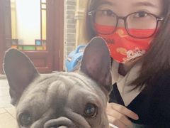 -柯斗斗主题餐厅·狗咖·围炉煮茶·茶饮(国瑞升平里店)