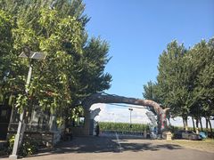 -白渔泡湿地公园