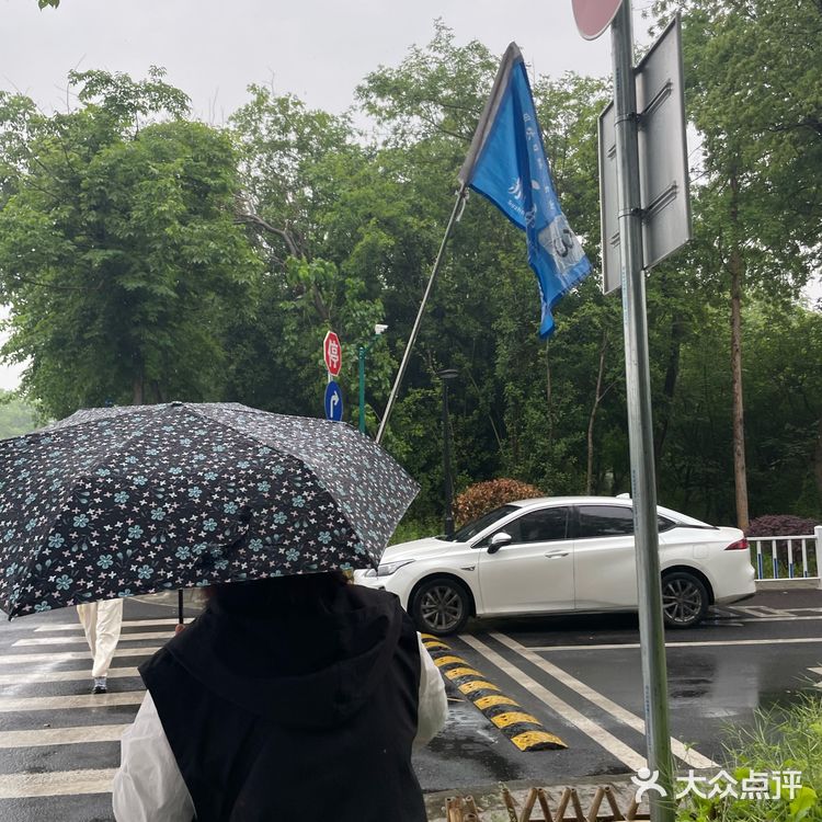 西溪湿地旅游团大自然的雨后韵味