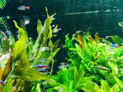 -上海海洋水族馆