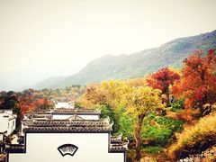 -塔川景区