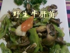 野生牛肝菌-味道云南·云朵山歌(东方都会广场店)