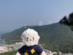 -东澳岛