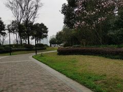 -鸿恩陶然大观园