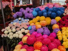 -越秀西湖花市(广州城市广场花卉店)