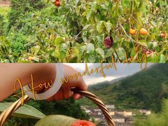 -南靖田螺坑土楼群景区