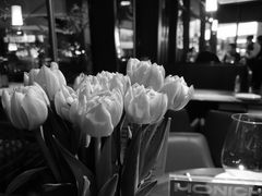 -MONICH牛排融合餐厅(和义大道购物中心店)