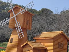 -苏州上方山国家森林公园