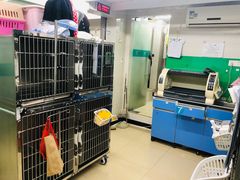 -瑞派动物医院·猫专科·至诚(江南中分院)