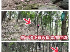 -南山植物园