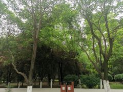 -宝鸡植物园