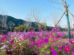 -北京西山国家森林公园