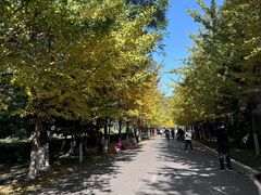 -长白岛森林公园
