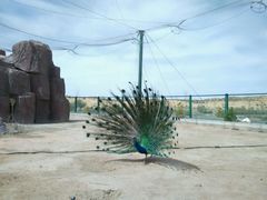 android_upload_pic-水镜湖