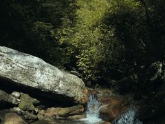 -秦岭风景区