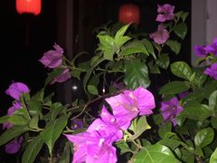 -美味之家·湖景农家乐(太湖东山店)