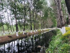 -东郊湿地公园