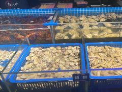 -锅儿欢海鲜火锅烤肉自助餐(东港凯虹店)