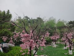 -郑州银基黄帝宫御温泉