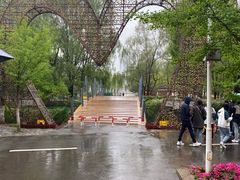 -长白岛森林公园