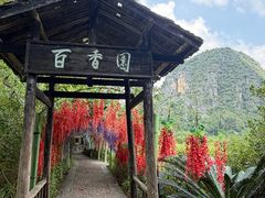 -荔江湾景区