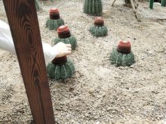 -南山植物园