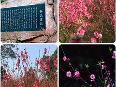 -桃花涧