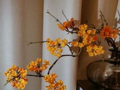 -和里合·颜愈SPA·Relax瑶浴·Massage(石厦店)