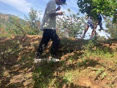-北宅大永樱桃采摘基地(崂山总部)