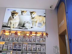-希望动物医院(汉阳院)