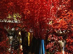 -亦境芳香·SPA影院足道(梅林店)