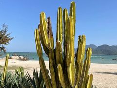 -花海间·即刻露营