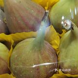 无花果，在我们老家庭院里家家都会栽一棵