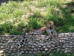 -西霞口神雕山野生动物世界