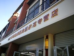 -车艺佳龙膜隐形车衣汽车贴膜(宝山丰宝店)