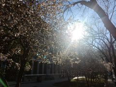 -山东大学(趵突泉校区)