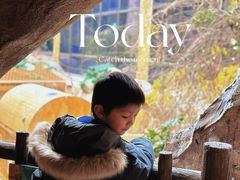 -杭州开元森泊度假乐园