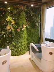 -V-STAR威斯达•高级私人定制