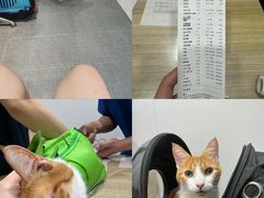 -荔康动物医院(康王北路店)