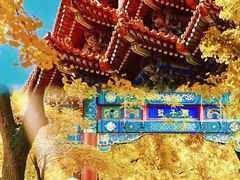 -故宫博物院(故宫)