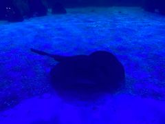 -常州海昌海洋探索馆