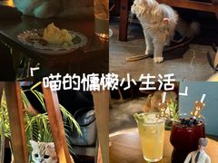 -咖法森林·咖啡  酒吧(天河店)