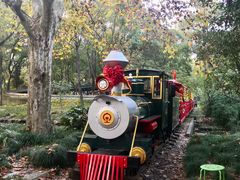 -上海共青森林公园