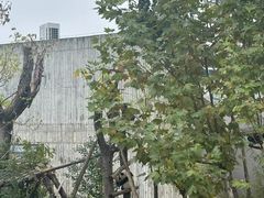 -中国大熊猫保护研究中心雅安碧峰峡基地