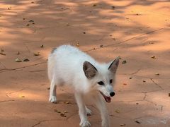 -南戴河国际娱乐中心